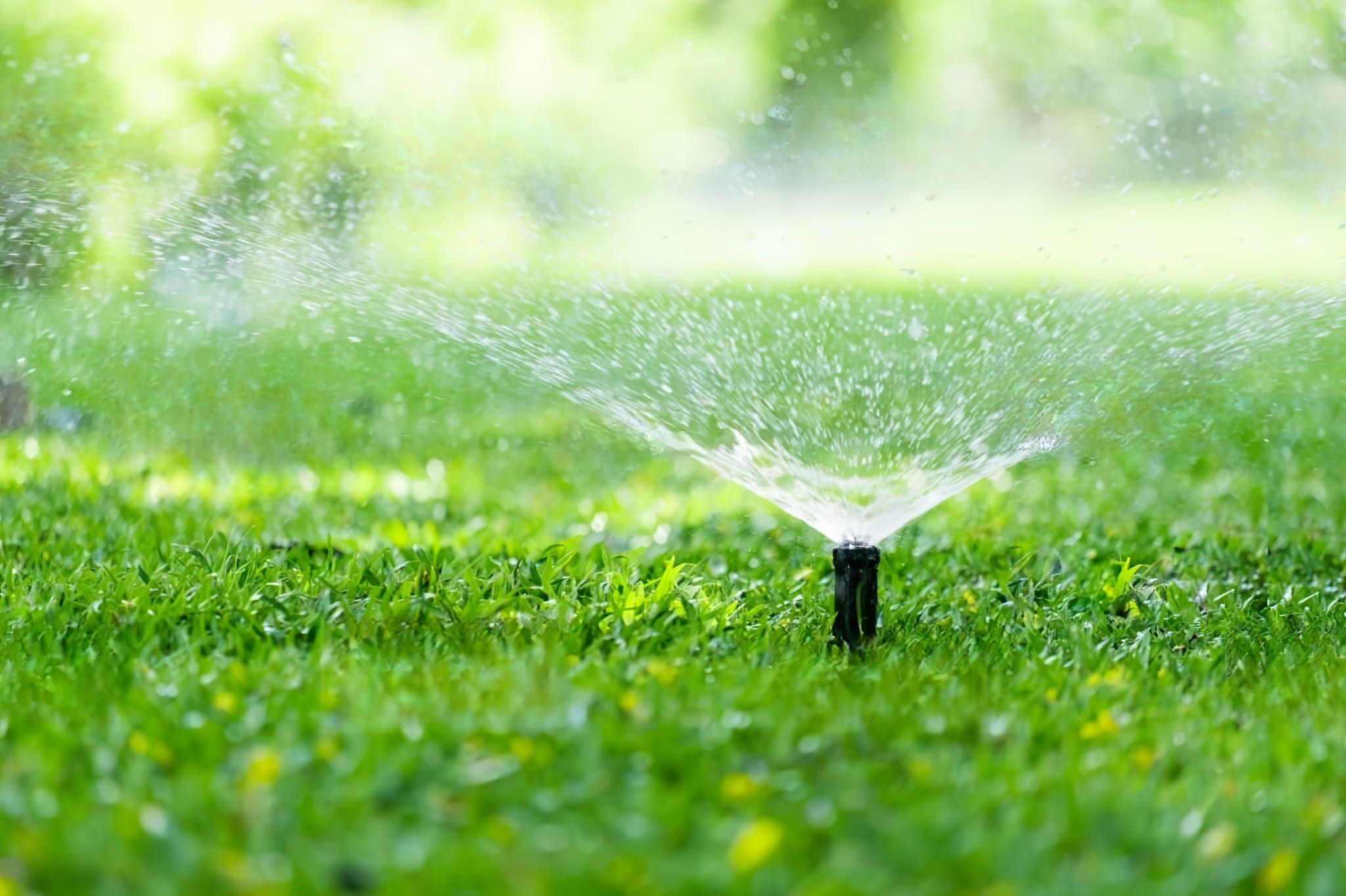 Lawn sprinkler watering a green garden, distributing water evenly across the grass as part of an irrigation system.